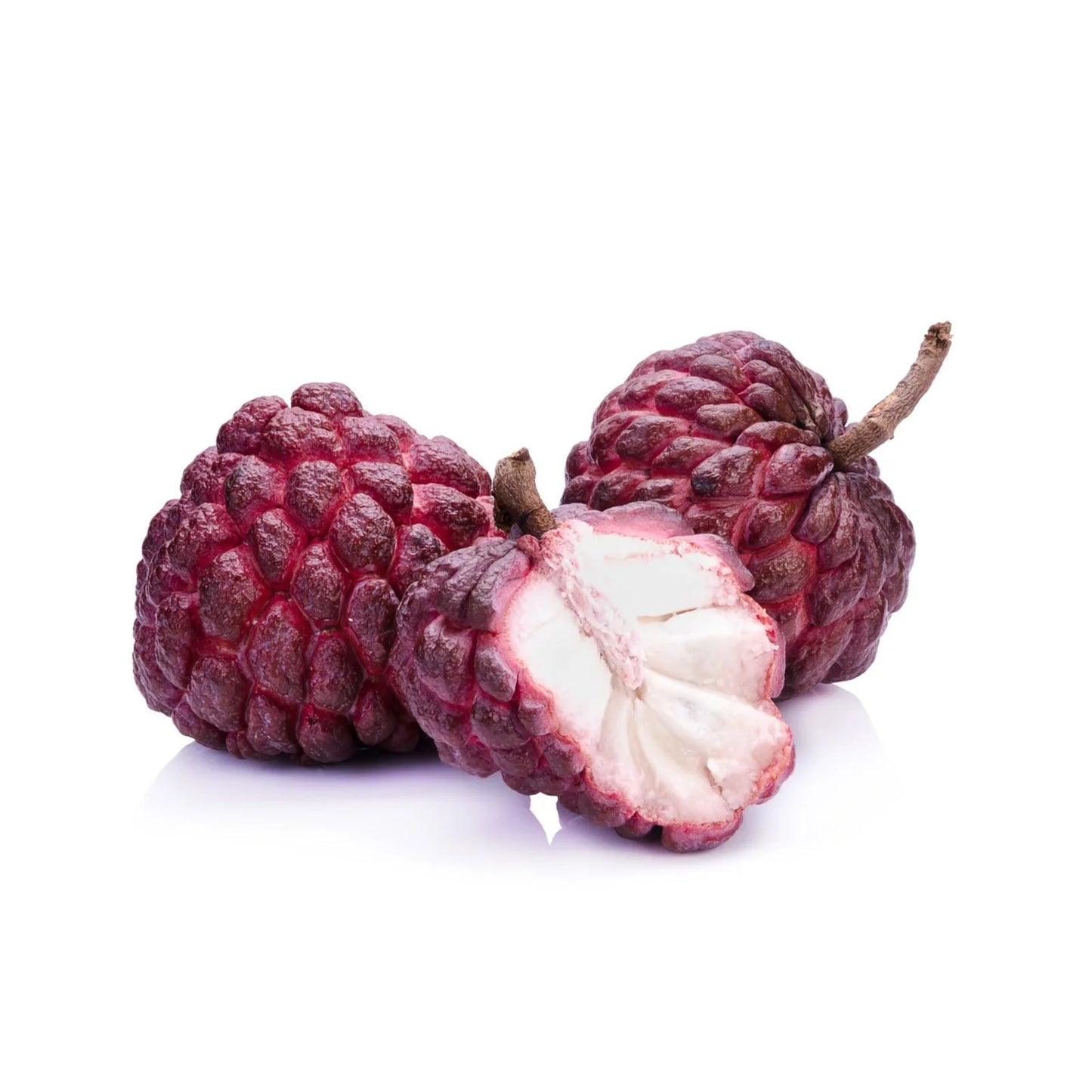 Bees Plant Hub Red Custard Apple (Seethapazham) Grafted Live Plant