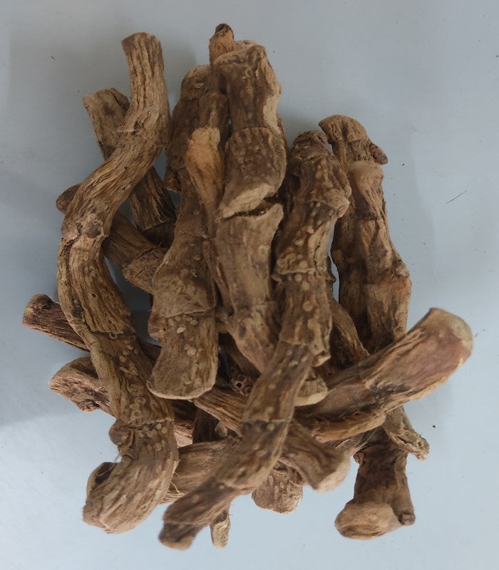 Vayambu (Acorus calamus)Medicinal Live Plant