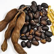 Purple Jadevine (Mucuna pruriens) Seeds - Open Pollinated
