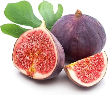 Bees Plant Hub Pune Red Fig Live Plant (Ficus carica)