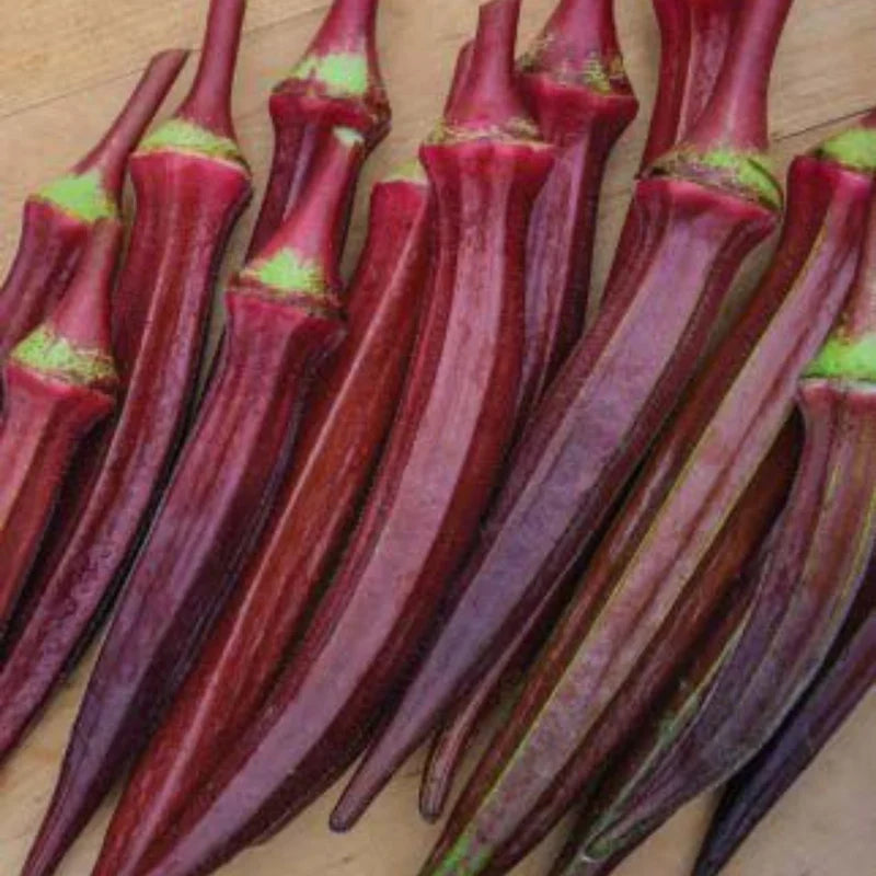 Essential Vegetable Seeds Bundle