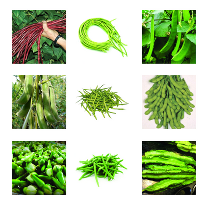 Beans Seeds Bundle