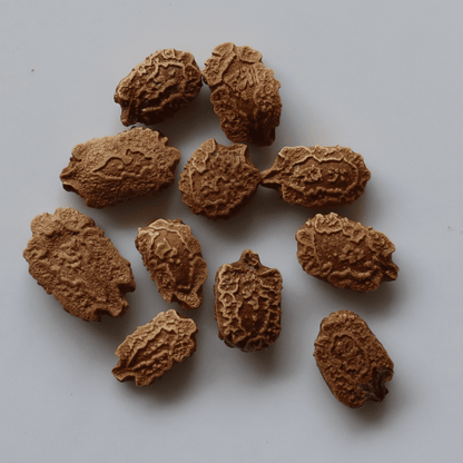 Organic Green Bitter Gourd Seeds - Open Pollinated