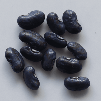 Organic Yard Long Beans Seeds - Open Pollinated