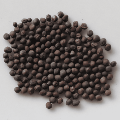 Organic Knol Khol Seeds - Open Pollinated