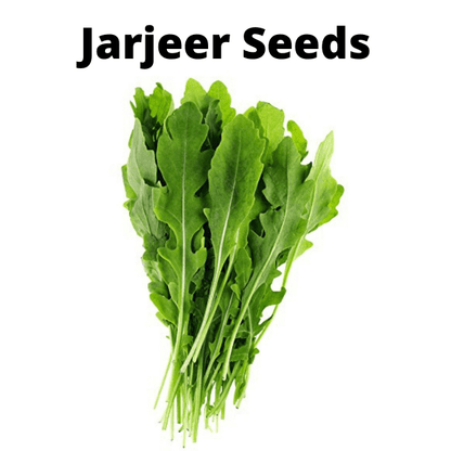 Exotic Vegetable Seeds Bundle