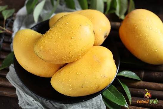 Bees Plant Hub Banganapalli Mango Grafted Live Plant