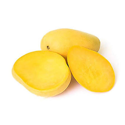 Bees Plant Hub Banganapalli Mango Grafted Live Plant