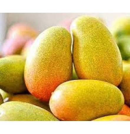 Bees Plant Hub Imam Pasand / Himayath Mango Grafted Live Plant