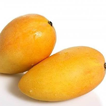 Bees Plant Hub Mallika Mango Grafted Live Plant