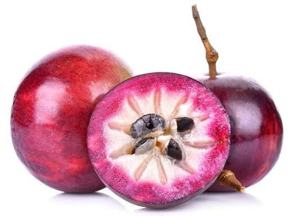 Bees Plant Hub Purple Jamaican Star Apple Grafted Live Plant (Chrysophyllum Cainito)