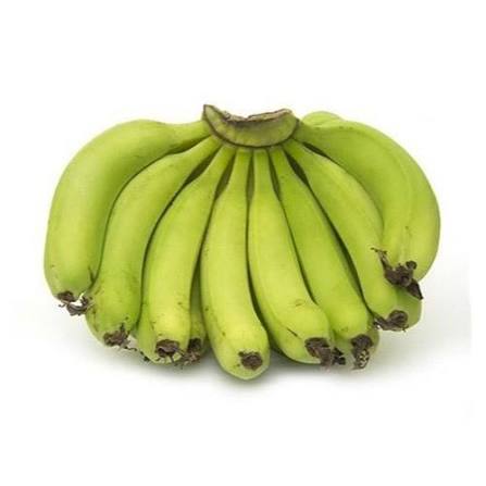 Bees Plant Hub Robusta Banana (Morris) Live Plant