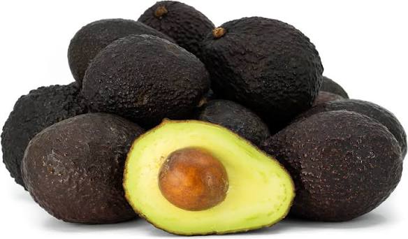 Bees Plant Hub Hass Avocado (Persea americana 'Hass') Grafted Live Plant