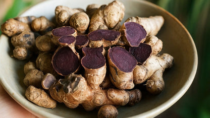 Bees Plant Hub Black Ginger (Kaempferia parviflora) Rare Medicinal Live Plant
