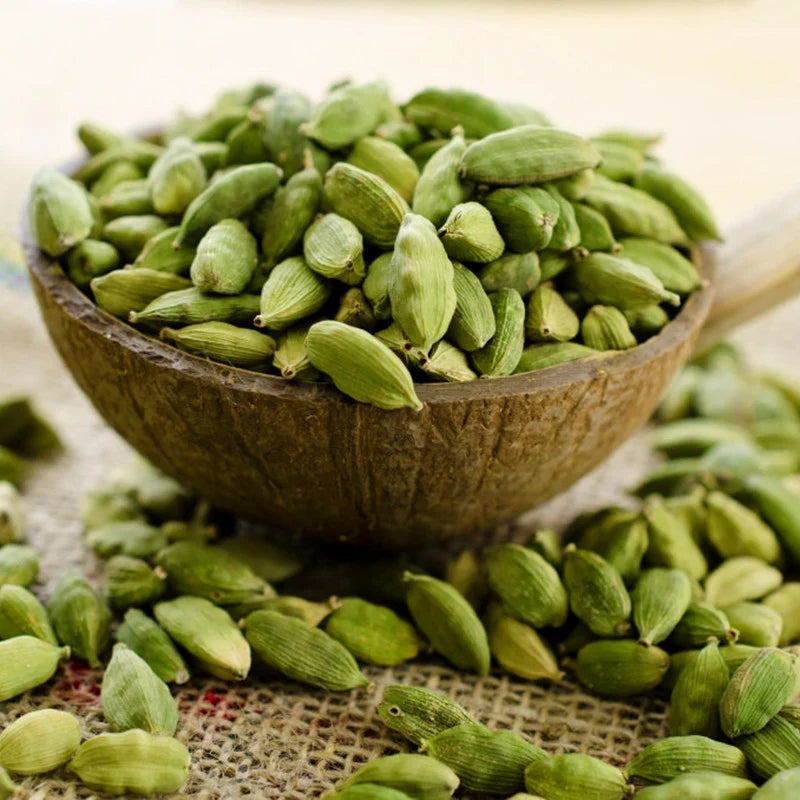Bees Plant Hub Cardamom (Elaichi) Spice Plant