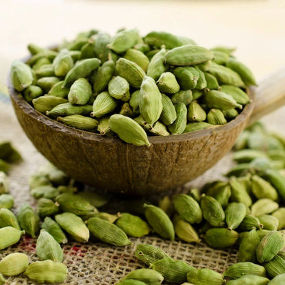 Bees Plant Hub Cardamom (Elaichi) Spice Plant