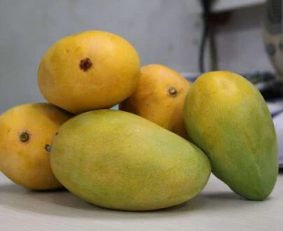 Bees Plant Hub Cheruku Rasalu Mango Grafted Live Plant