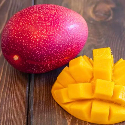 Bees Plant Hub Japanese Miyazaki Mango Grafted Live Plant