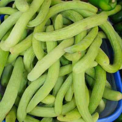 Organic Long Melon Seeds - Open Pollinated
