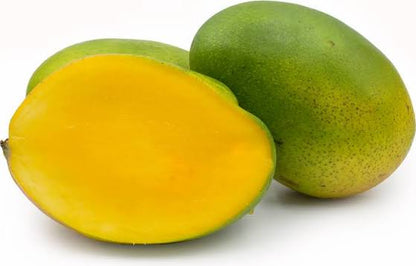 Bees Plant Hub Malgova Mango Grafted Live Plant