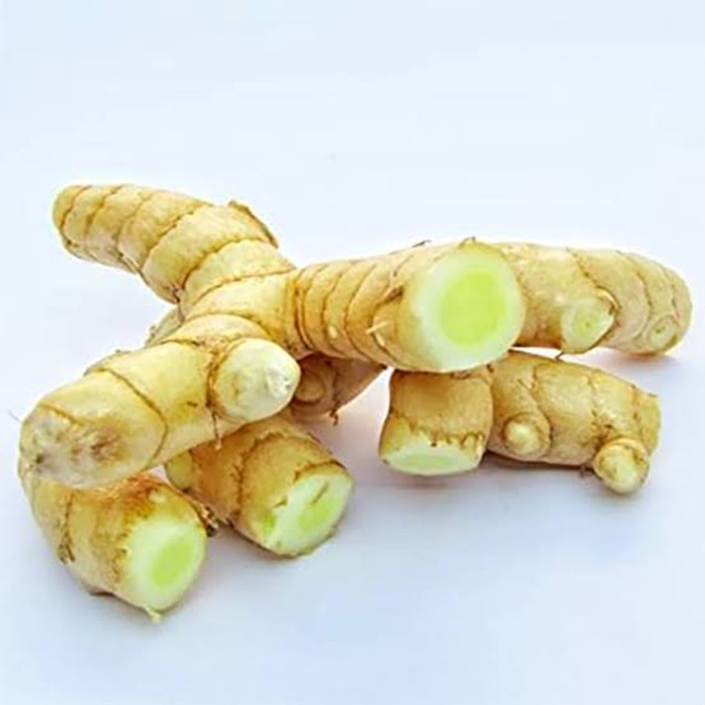 Bees Plant Hub Mango Ginger (Curcuma amada) Spice Plant