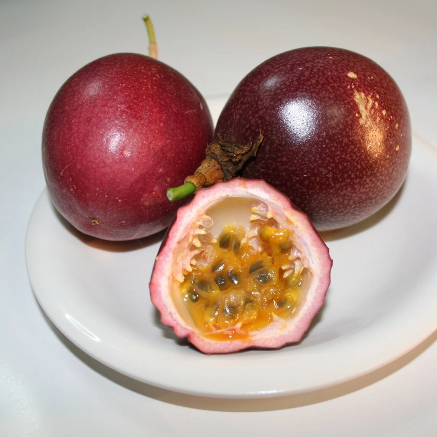 Bees Plant Hub Passion Fruit Red Layerd Live Plant