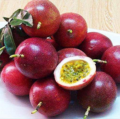 Bees Plant Hub Passion Fruit Red Layerd Live Plant