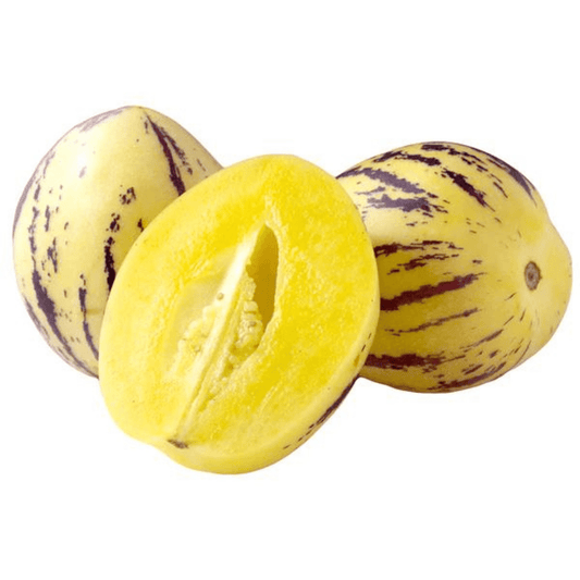 Pepino Melon / Tree Tomato Fruit (Solanum muricatum) Live Plant