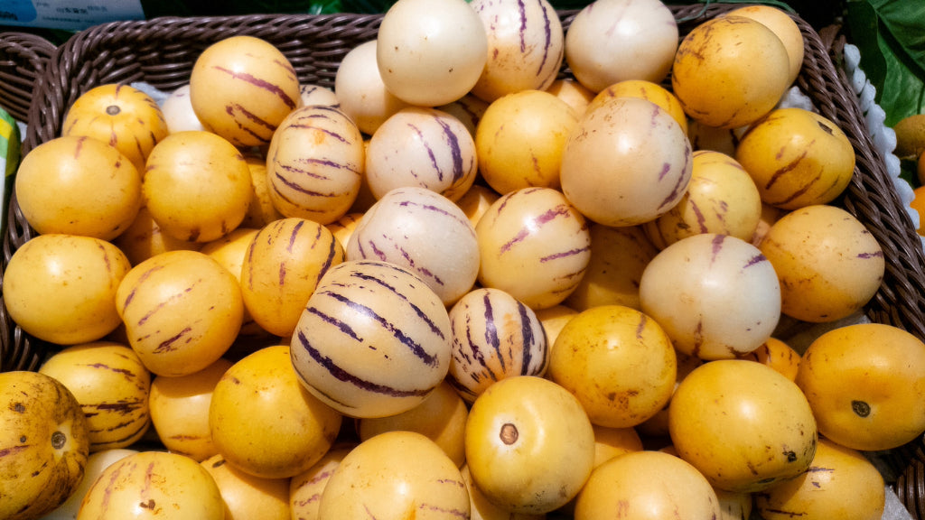 Bees Plant Hub Pepino Melon / Tree Tomato Fruit (Solanum muricatum) Live Plant