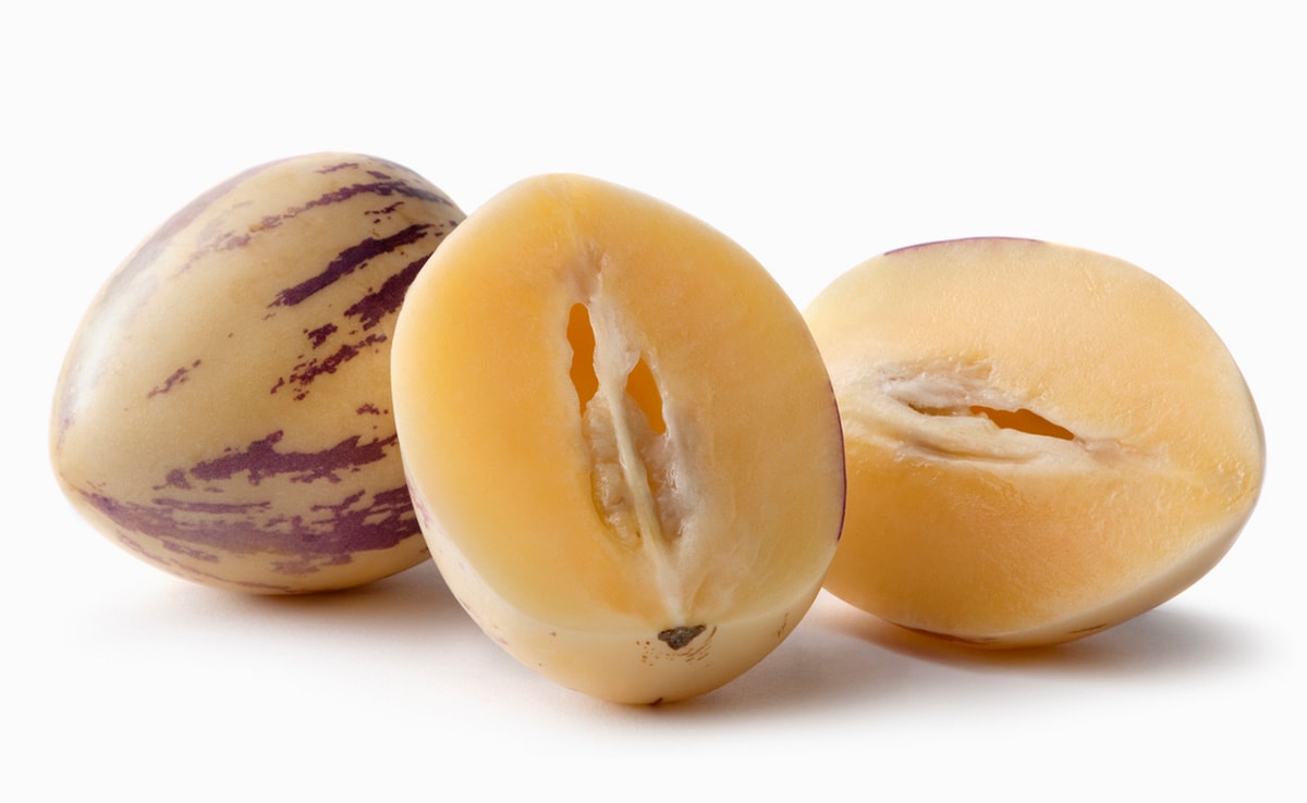 Bees Plant Hub Pepino Melon / Tree Tomato Fruit (Solanum muricatum) Live Plant