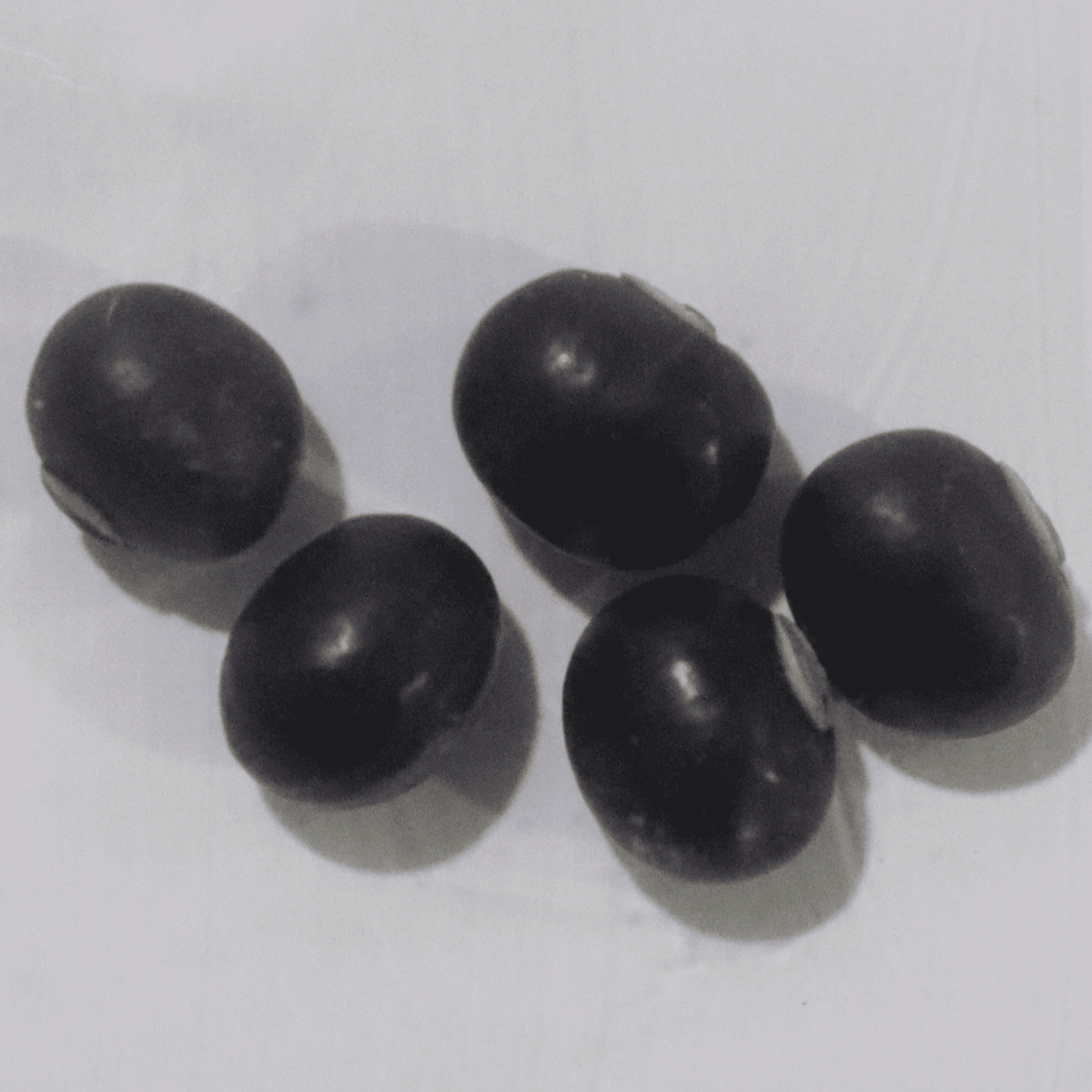 Organic Purple Winged Beans Seeds - Open Pollinated
