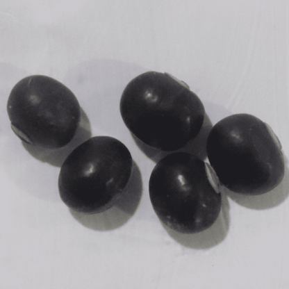 Organic Purple Winged Beans Seeds - Open Pollinated