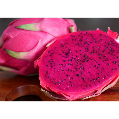 Bees Plant Hub Dragon Fruit Original Red Sweet Variety Rooted Plant