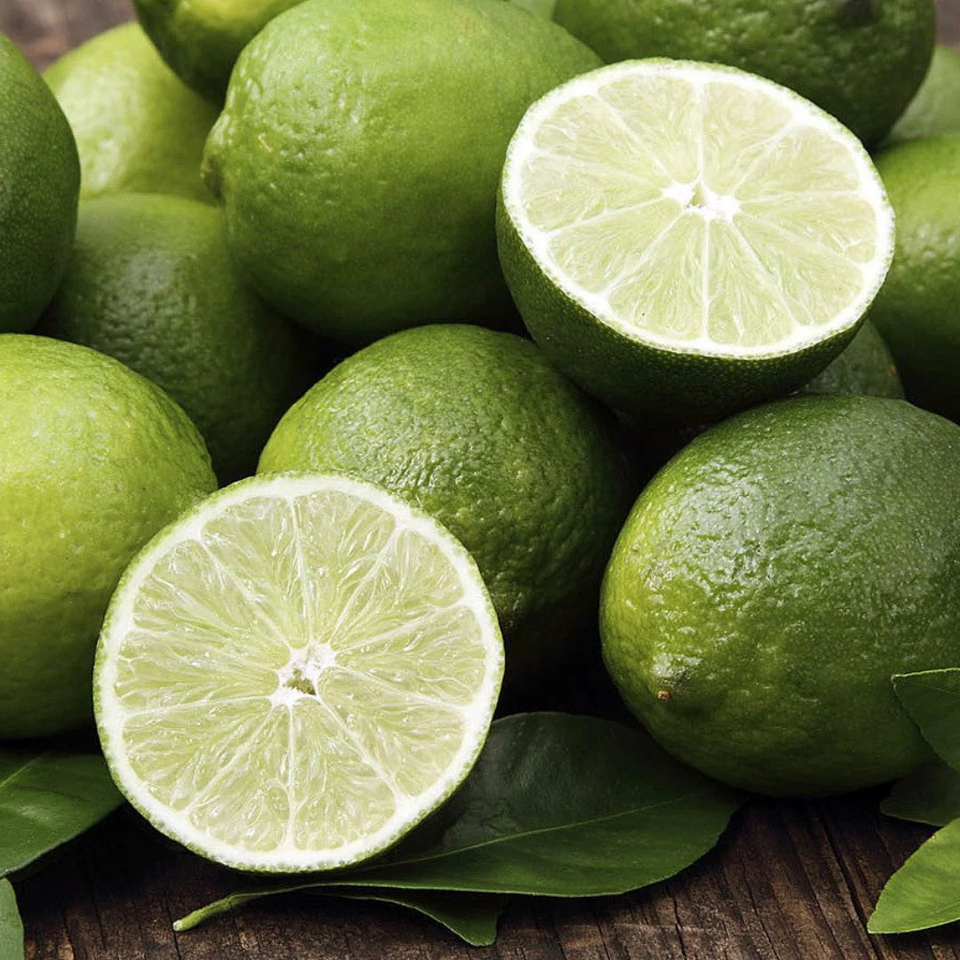 Bees Plant Hub Seedless Lemon (Citrus Lemon) Fruit Live Plant