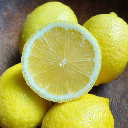 Bees Plant Hub Seedless Lemon (Citrus Lemon) Fruit Live Plant