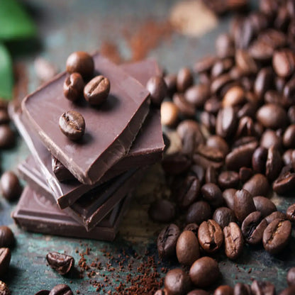 Cocoa - chocolate Tree Live Plant