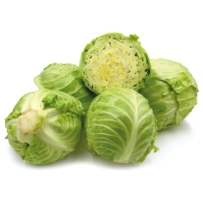 Organic Cabbage Seeds