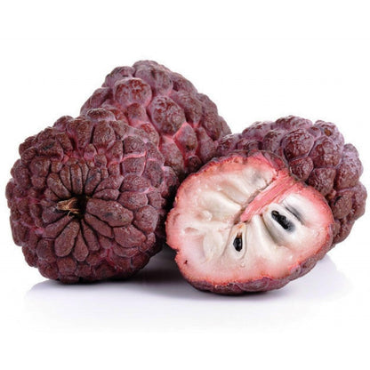 Red Custard Apple (Seethapazham) Grafted Live Plant