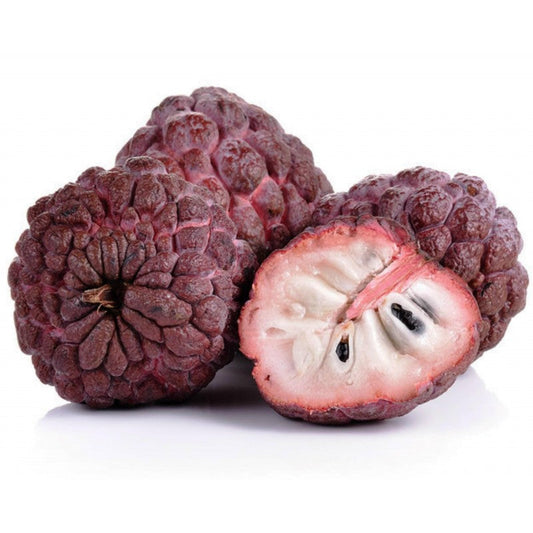 Red Custard Apple (Seethapazham) Grafted Live Plant